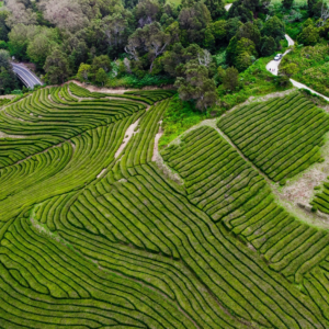 PRISE DE VUE AERIENNE