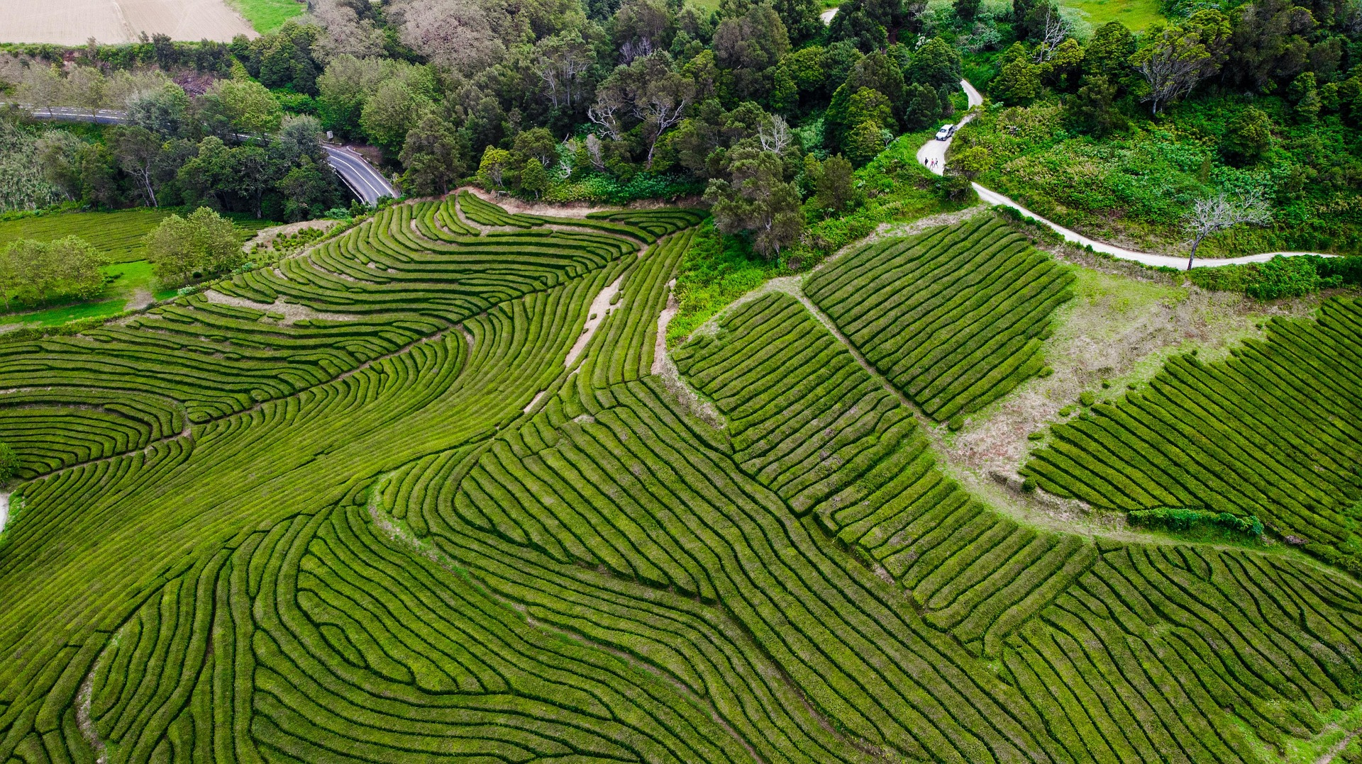 VIDEOS AERIENNES 5 VIDEOS